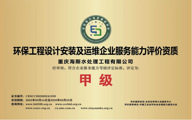 某某荣誉